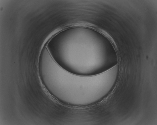 X0000087511138200704270747
