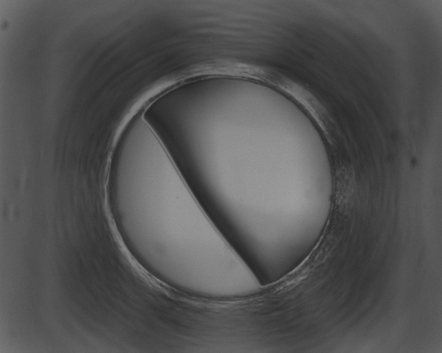 X0000087511139200704270747