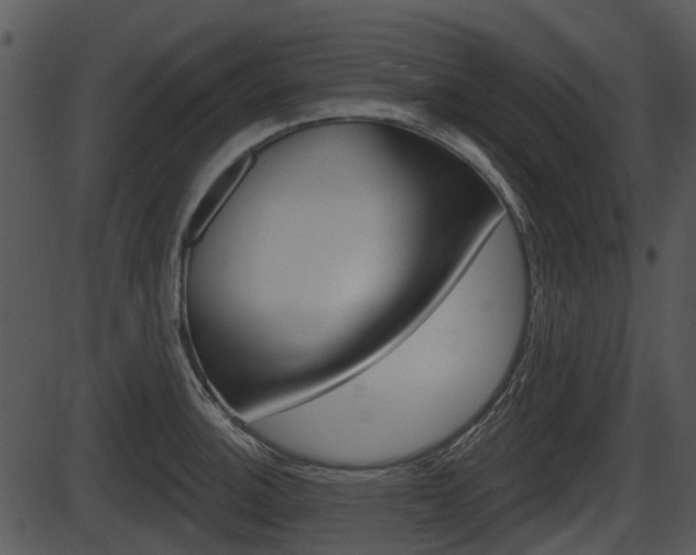 X0000087511140200704270747
