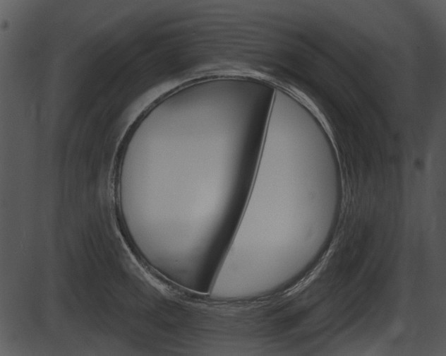 X0000087511141200704270747