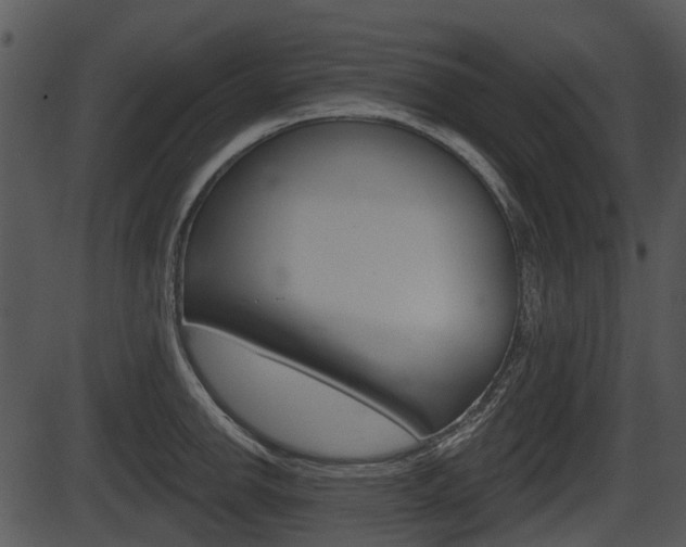 X0000087511142200704270747