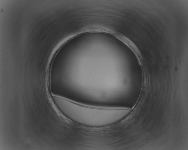 X0000087511144200704270747