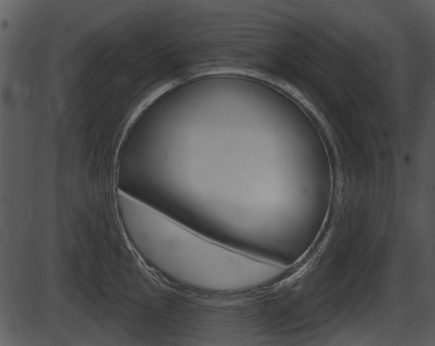 X0000087511145200704270747
