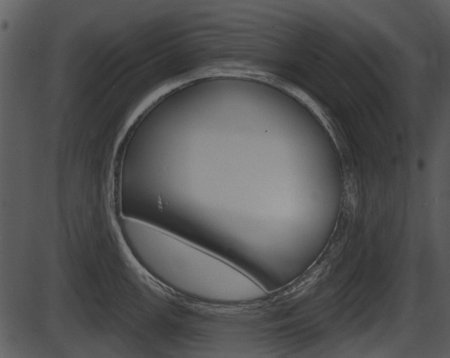 X0000087511147200704270747