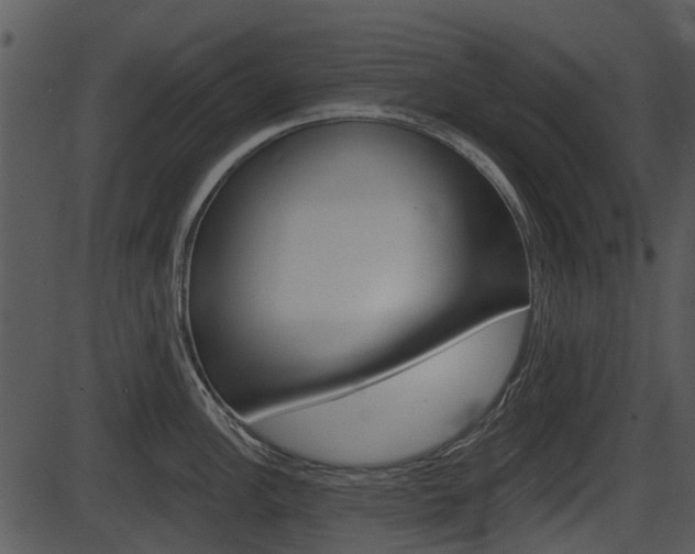 X0000087511148200704270747