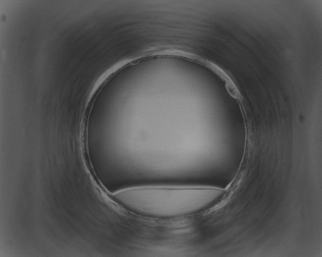X0000087511149200704270747