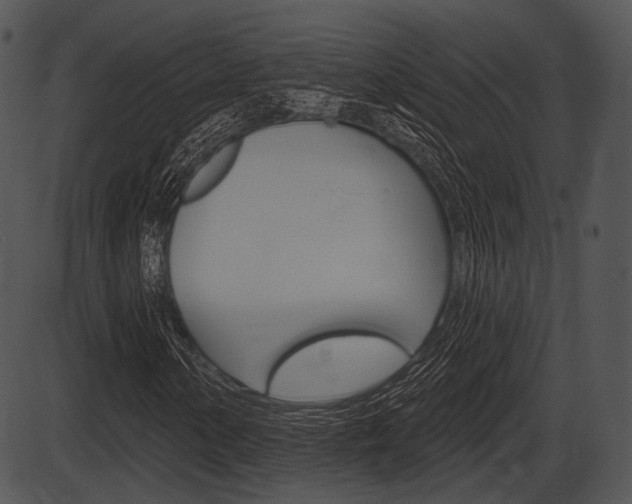 X0000087511154200704270746