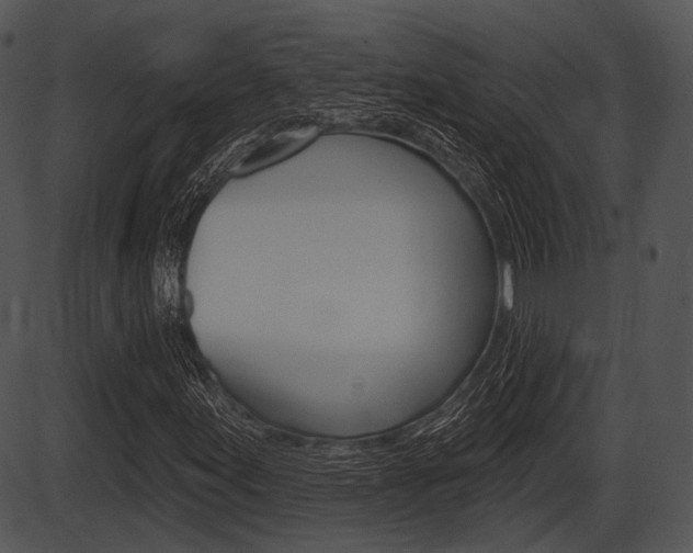 X0000087511155200704270746
