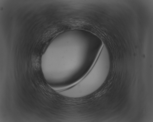 X0000087511156200704270746