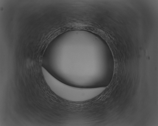 X0000087511157200704270746