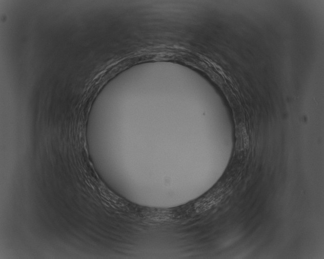 X0000087511158200704270746