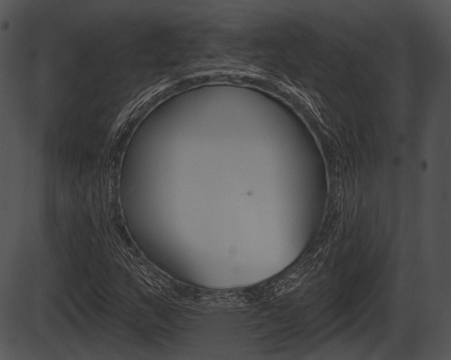 X0000087511159200704270746
