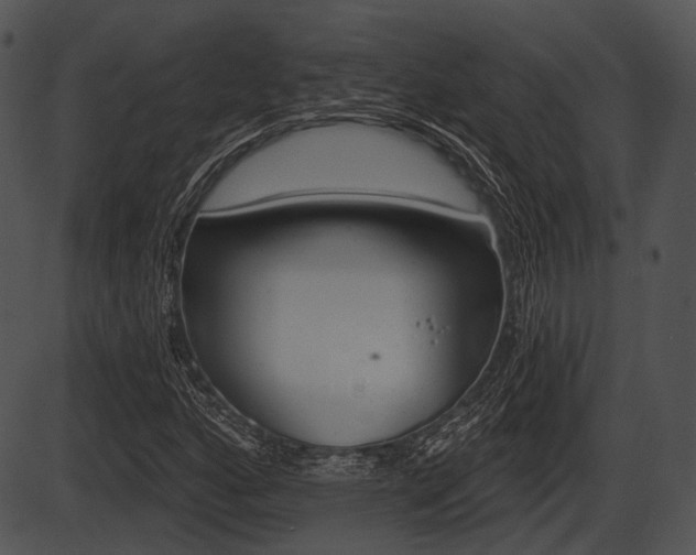 X0000087511160200704270746
