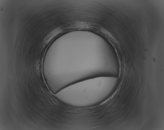 X0000087511162200704270746