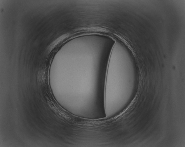 X0000087511163200704270746