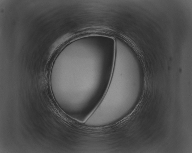 X0000087511164200704270746