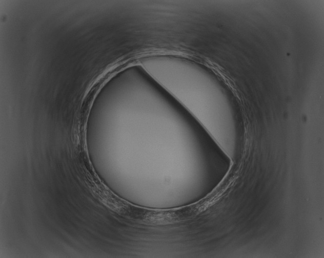X0000087511165200704270746
