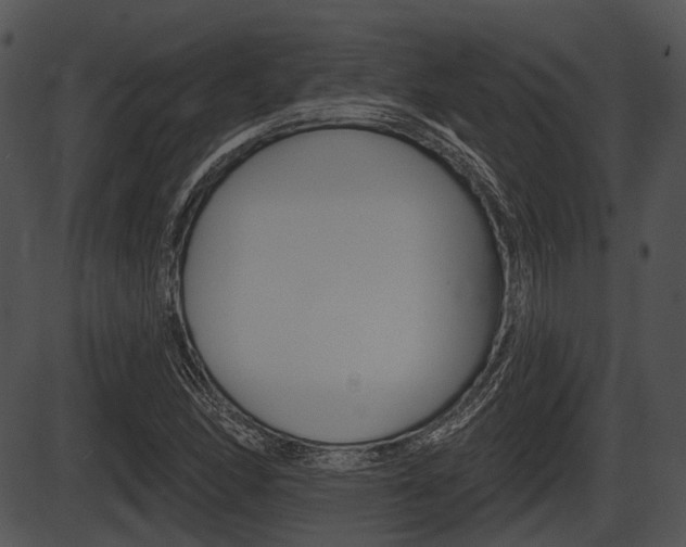X0000087511166200704270746