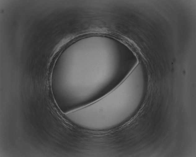 X0000087511168200704270746