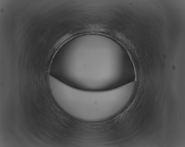 X0000087511169200704270746