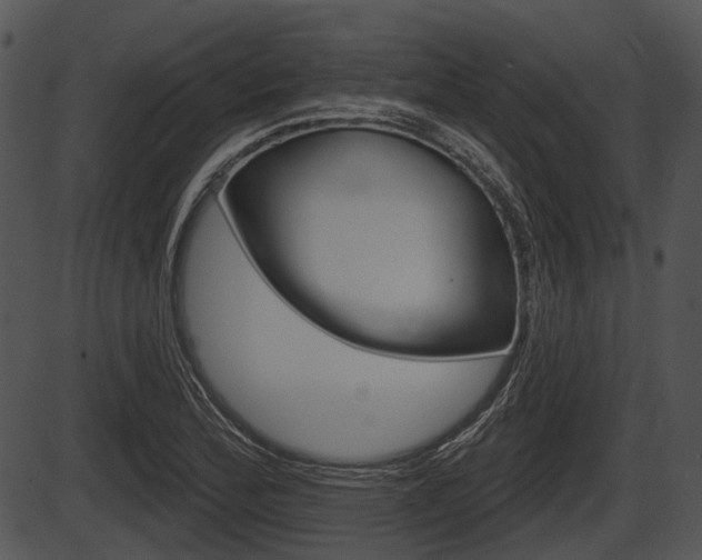 X0000087511172200704270746