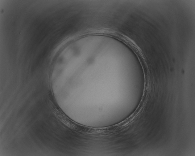 X0000087511174200704270746