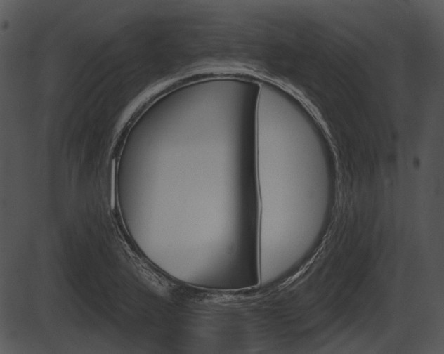 X0000087511175200704270746