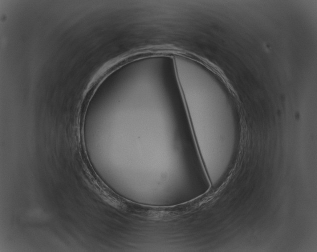 X0000087511176200704270746