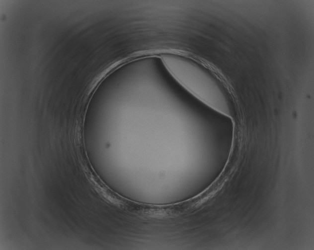 X0000087511177200704270746