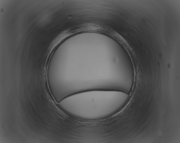 X0000087511178200704270746