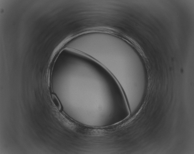 X0000087511180200704270746