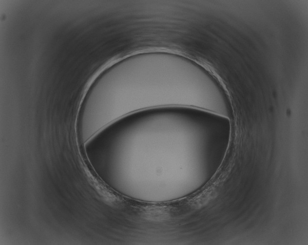 X0000087511181200704270746