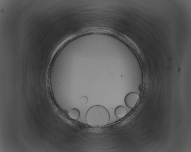 X0000087511182200704270746