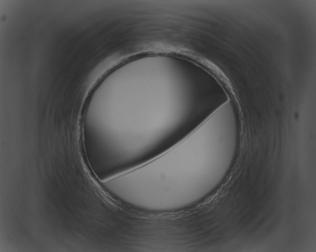 X0000087511183200704270746