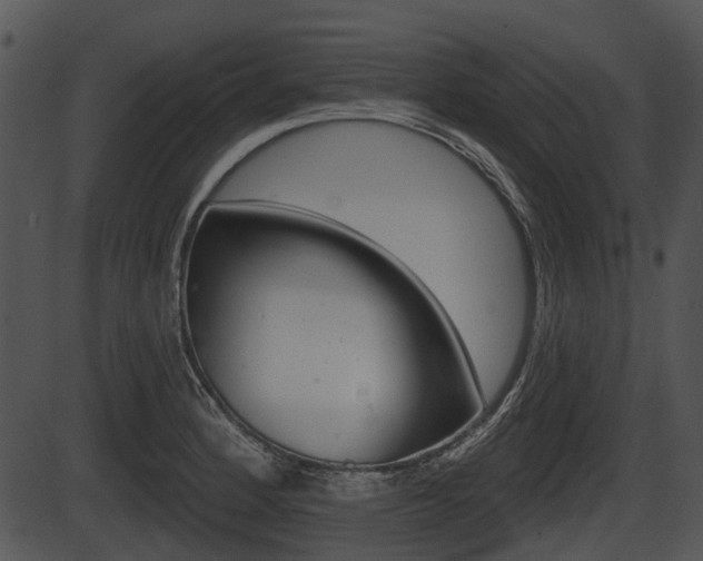 X0000087511184200704270746