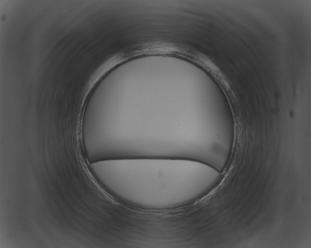 X0000087511186200704270746