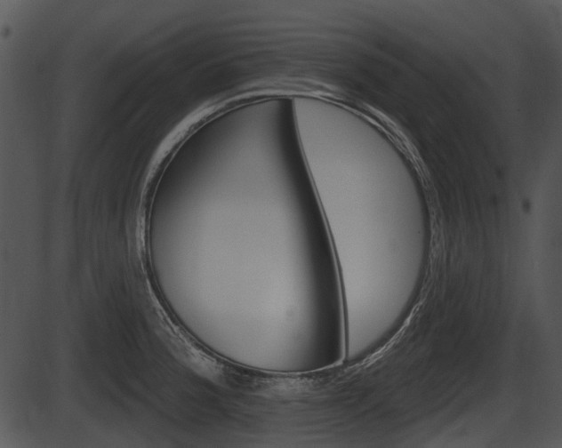 X0000087511188200704270746