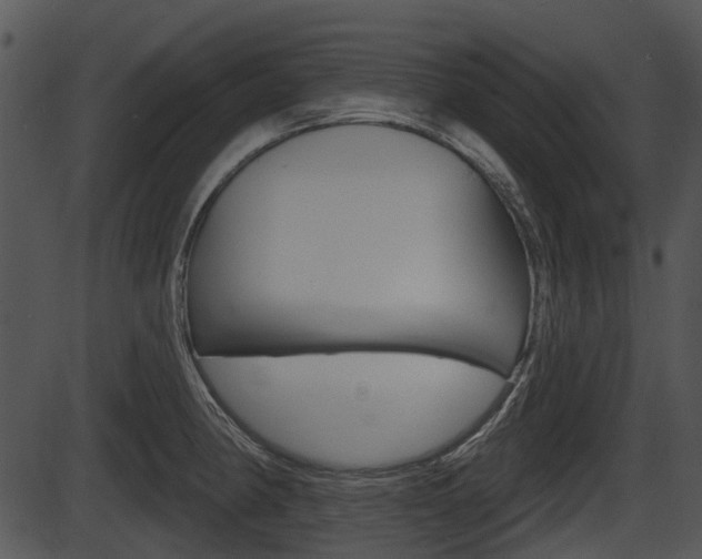 X0000087511190200704270746