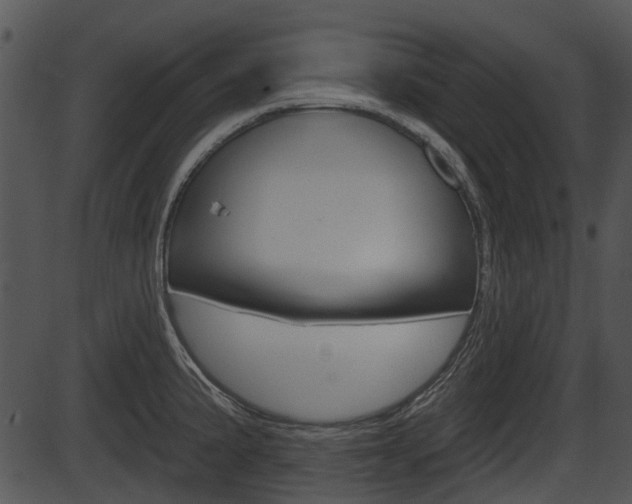 X0000087511191200704270746