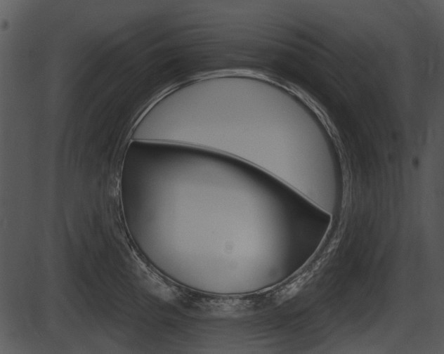 X0000087511193200704270746