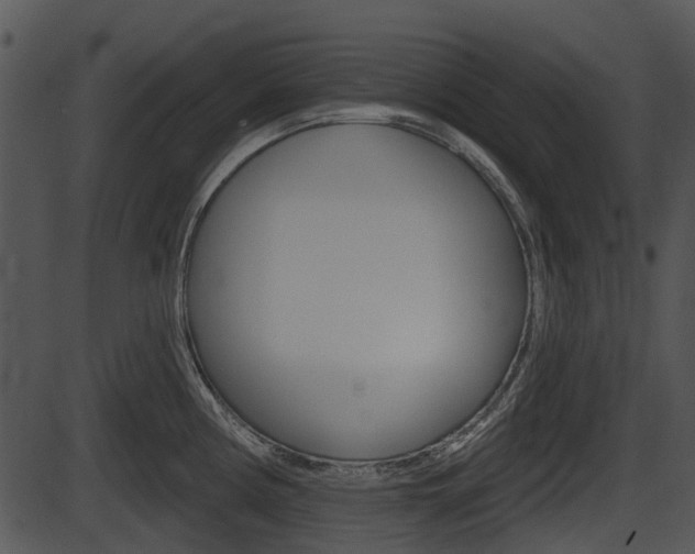 X0000087511194200704270746