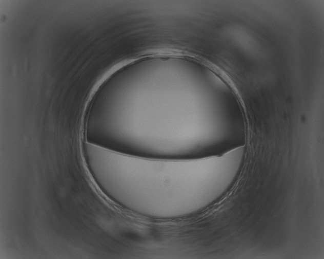 X0000087511195200704270746