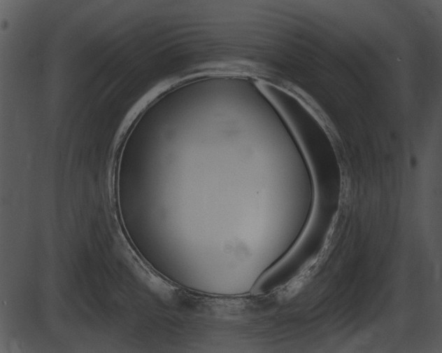X0000087511196200704270746