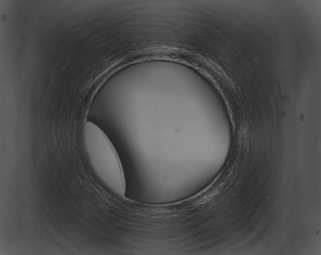 X0000087511209200704270745