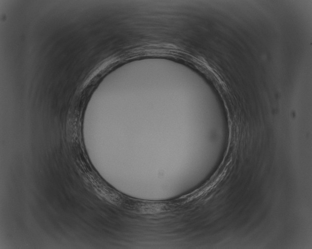 X0000087511211200704270745