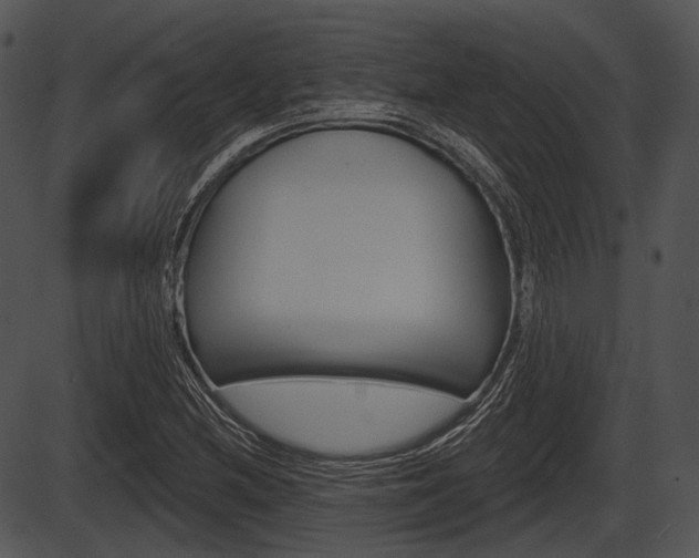 X0000087511212200704270745