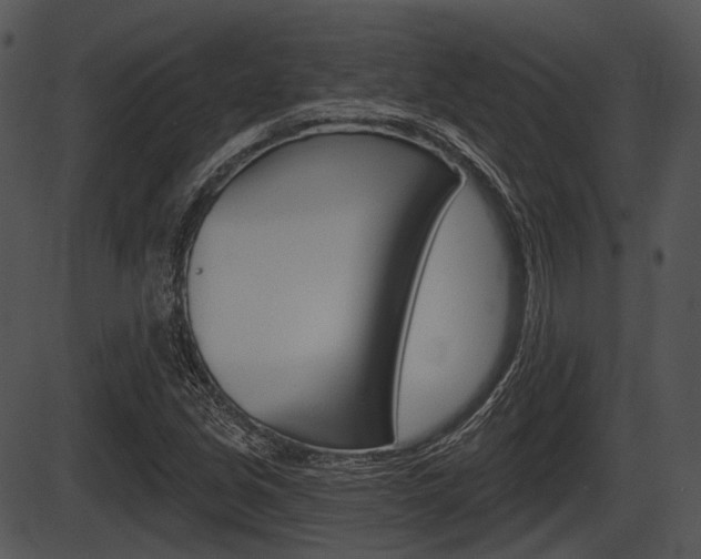 X0000087511213200704270745