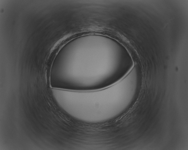 X0000087511214200704270745