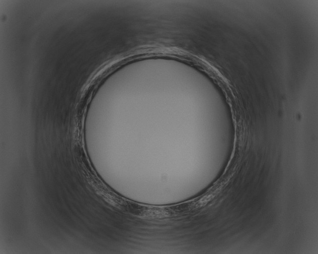 X0000087511215200704270745