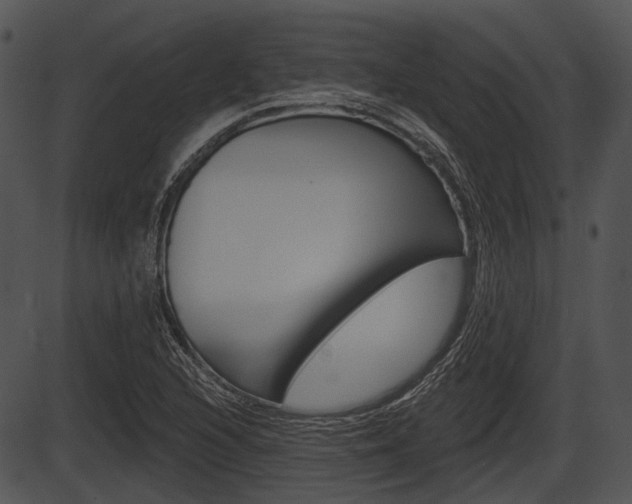 X0000087511216200704270745